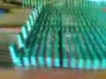 domino SDF domino SDF