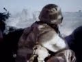 British army tribute