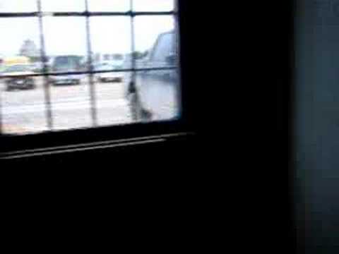 Stan's Polar Bear Video in ...