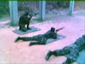 TIRO DE GUERRA JACAREI SP 2005