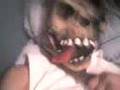 strigoi-urat