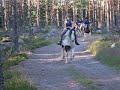 Full fart i skogen