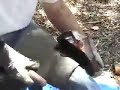 Knapping Stone Tools 5