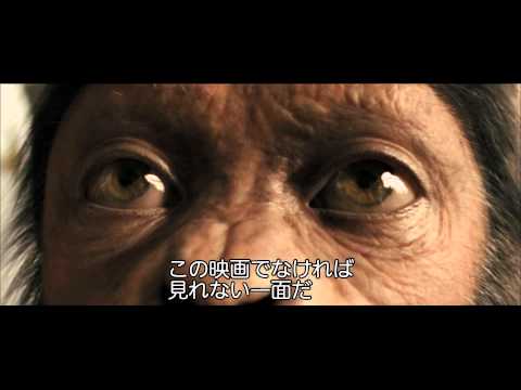 猿の惑星 - 人間が高度な知能を持つ猿に支配される前代未聞の世界観と、衝撃的なラストシーンで話題となった『猿の惑星』の前日譚(たん)をひもとく話題作。現代のサンフランシスコを舞台...