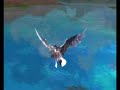 Aion - script fly #1