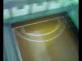 Estadio pi�eyro