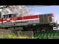 Mikawa News 2008/3/19 A train graduates Mikawa News 2008/3/19 A train graduates