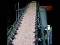 videos de Biomass Briquette Systems Infeed Conveyor