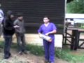 INSEMINACION ARTIFICIAL EQUINOS equine insemination 01