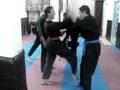 Lohan Tao Kempo Karate Chinse