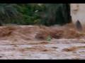 videos de inondation ghardaia