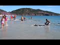 About 30 Dolphins stranded and saved by local people at Arraial do Cabo (Brazil) in the morning at 8:00 AM on March 5th 2012.