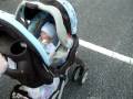 videos de Avery's first trip to the park