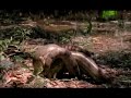 Killer Clips- Snake\ Killer Clips- Snake\