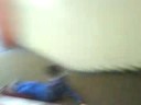 JACKASS CALDAS 3