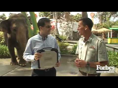 Tiger Vs. Laptop