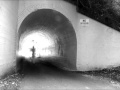 The Clifton Bunny Man by Timothy C. Forbes