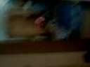 Another Ruff Video! Another Ruff Video!