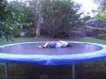 videos de The Awesome Little Kid (a mixed up fairy tale)