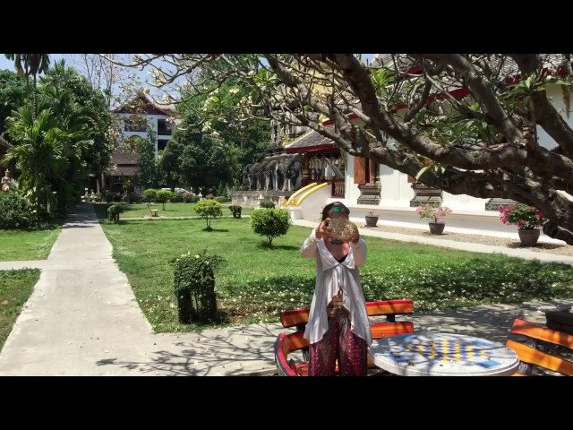 Програма „Разпери криле“