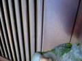 videos de pepita calle;)