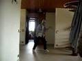 Lollipop Freestyle