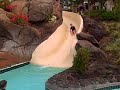 Ashley: In Hawaii Hiltion resort
