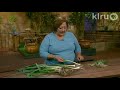 Trisha plants alliums:  Central Texas Gardener