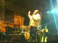 Show Enredados em Paranaguá