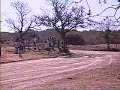 rally de jesus maria