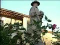 PANORAMICAS ZACAPU MICHOACAN MAXISTAR PANORAMICAS ZACAPU MICHOACAN MAXISTAR