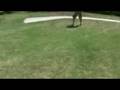 videos de My 1st attempt to play golf