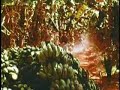 cambodia 1965 part 4