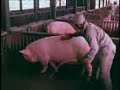 cambodia 1965 part 4