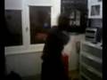 videos de Vidéo5.3gp video scorpia electro teamxtreme vichy clermont