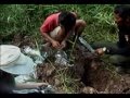Uji Kesuburan Lahan Kebun SAWIT Di LABUAN BATU Part 01