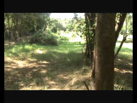 FAMILIAUX - Présentation des Jardins Familiaux et Partagés de Lévignac sur Save (31530).