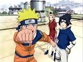 Narumex 3 (finta) 8D