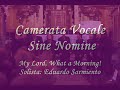 camerata vocale sine nomine, cuba