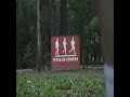 \"pop no hand\"