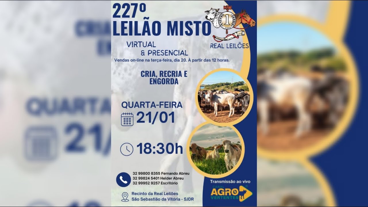227º LEILÃO MISTO PRESENCIAL E VIRTUAL REAL LEILÕES - 21/01/2026