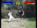 DOA 6 Gamekings prijsvraag
