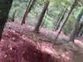 big-hill