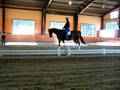 100_2806.MOV