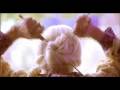 Hellmann's ad Fylakes twn Syntagwn
