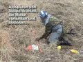 Pro-Life3. Explosive Detection Dog Training Center.