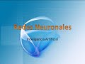 Redes Neuronales