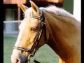 Breeds Of The World Part 3 E--G