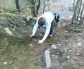 Mudsliding Mudsliding