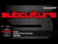 Sneijder & Neal Scarborough - Your Way (Original Mix)